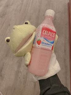 Calpico Drink