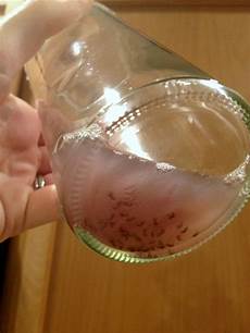 Cider Vinegars