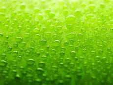 Lime Soda