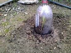Liter Of Soda