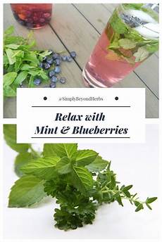 Minted Lemonades