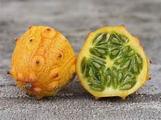 Orange Squash