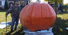 Orange Squash