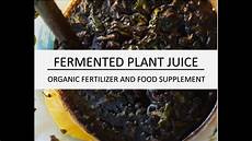 Organic Fermented Carrot Juice