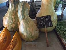 Squashes