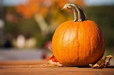 Squashes